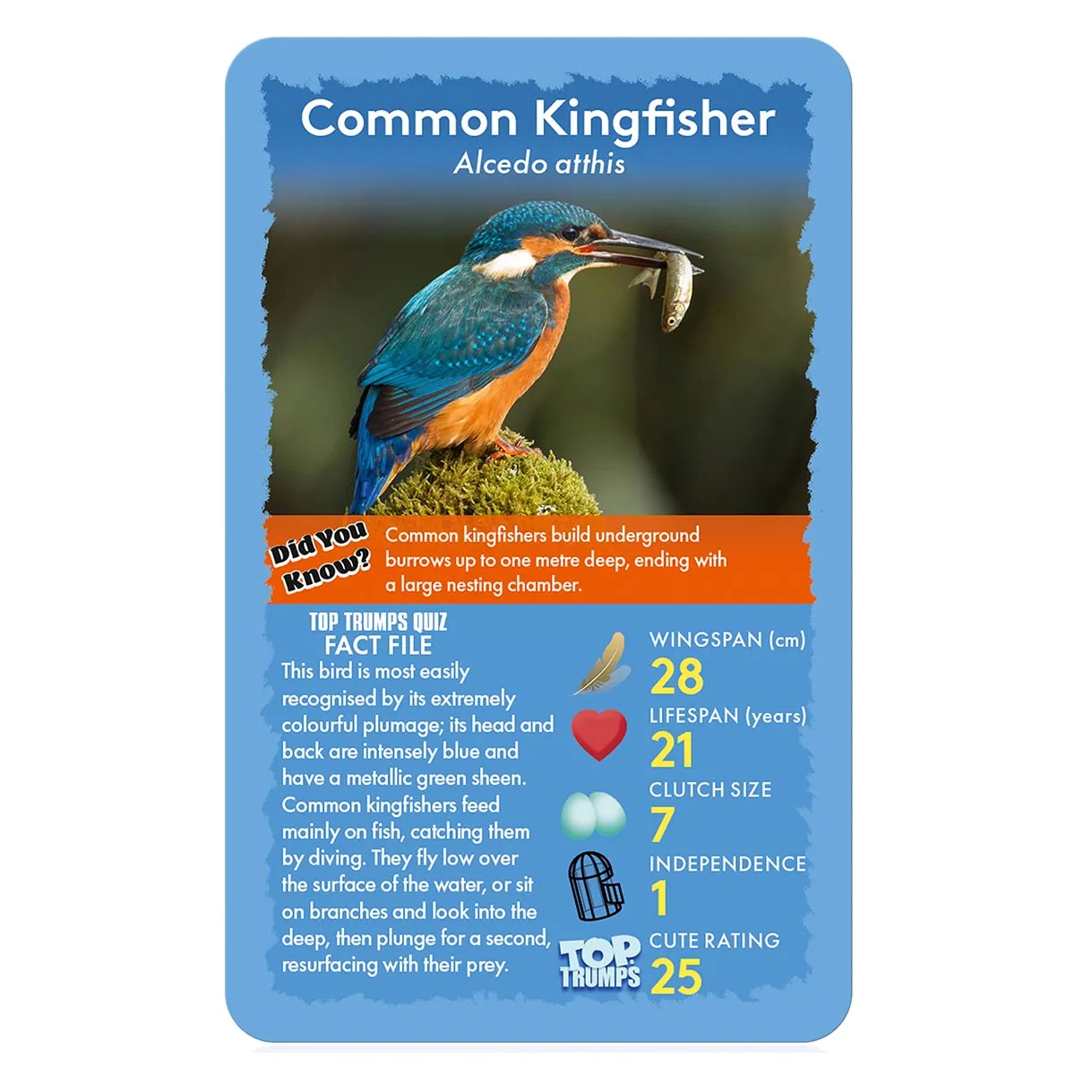 Birds of the World Top Trumps Classics Card Game