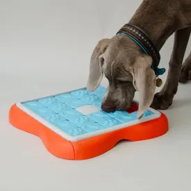 Snack-Spiel für Hunde "Challenge"